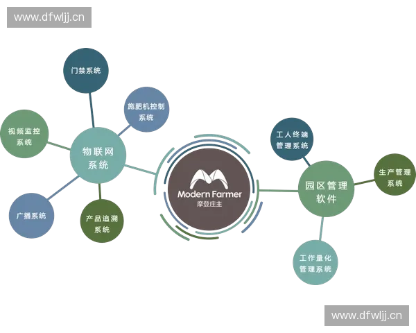 聚焦特定部位功能恢复的系统化精准康复综合实践优化方案探索研究